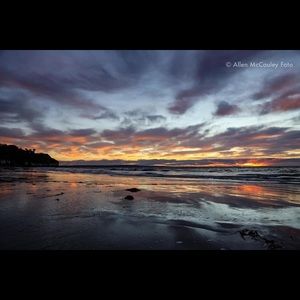 Meet your Posher, Ebony